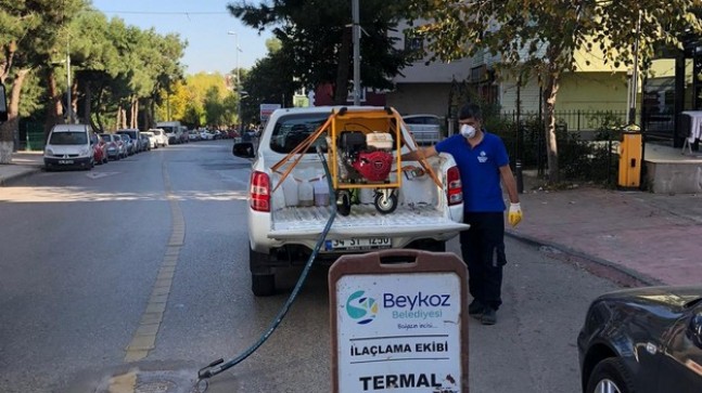 Sivrisinek Mücadelesi Kışın da Hız Kesmiyor