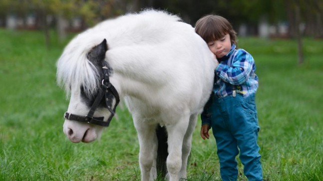 Beykoz’da Atla Terapi Dönemi Başlıyor