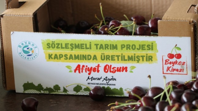 BEYKOZ’DA DEV TARIM ATAĞI