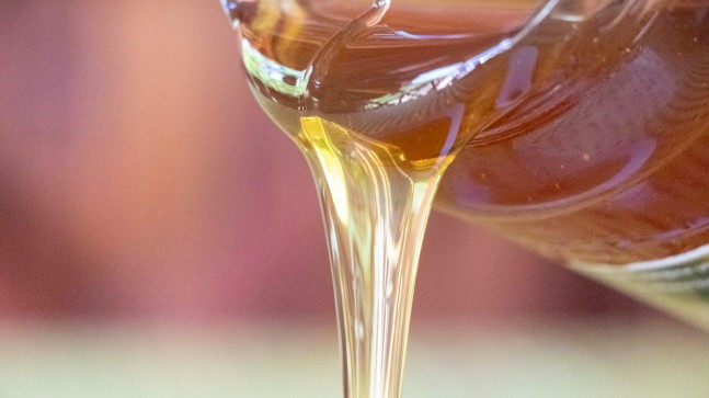 Beykoz Bal Üretimiyle İstanbul’da Şampiyon