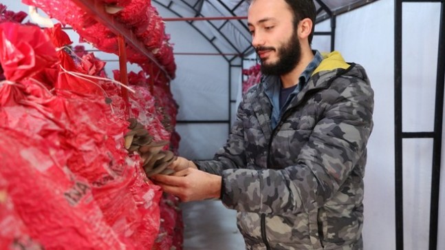 MÜHENDİSLİK KARİYERİNİ YARIDA BIRAKTI, BEYKOZ’DA MANTAR ÜRETİMİNE BAŞLADI