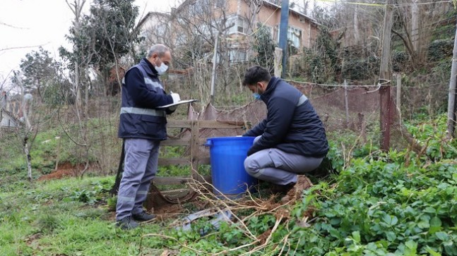 Larvaya Karşı Vatandaşlarla Kültürel Mücadele