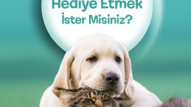 BEYKOZ’UN SEVİMLİ CAN DOSTLARI PROJESİ BAŞLADI