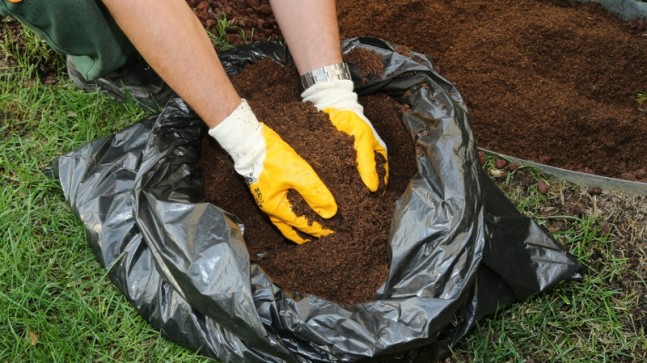 ÇEVRECİ “ARDIÇ SOFRASI” PROJESİ AVRUPA YEREL DEMOKRASİ HAFTASI’NDA
