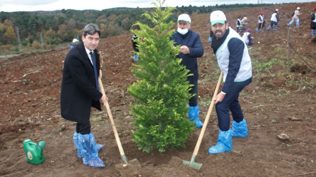 AK PARTİ BEYKOZ HATIRA ORMANI OLUŞTURDU