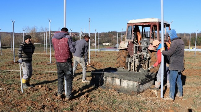 Beykozlu Çiftçiye Tohum ve Fide Müjdesi