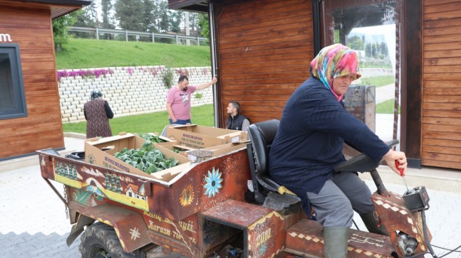 Beykozlu Çiftçiye 1 Milyon Fide Desteği