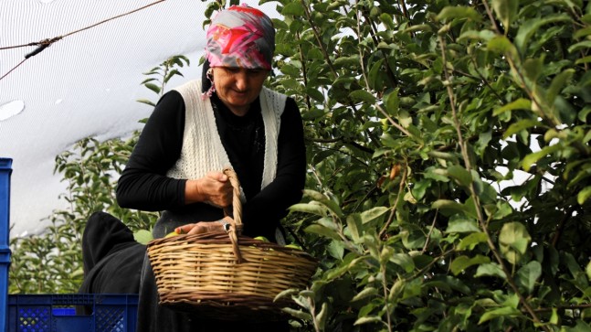 Beykoz’da Tarıma Kadın Eli Güç Veriyor