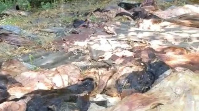 Beykoz Çavuşbaşı’nda çirkin görüntüler