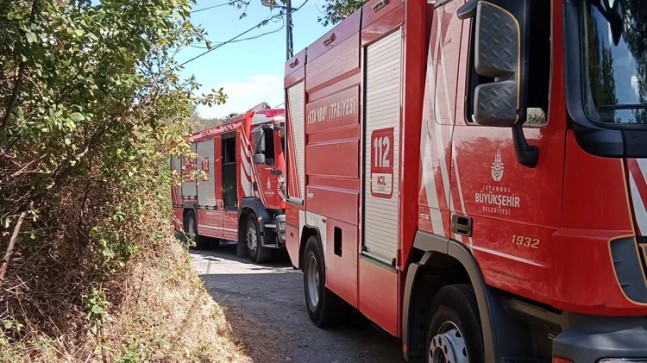 Beykoz’da 2 günde 2. ormanlık yangını