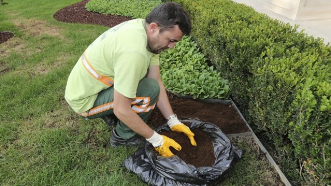 Bir Atığın Yolculuğu: Çöpten Sofraya Geri Dönüşüm