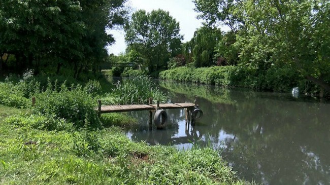 RİVA DERESİ İLE İLGİLİ SIK SORULAN SORULAR