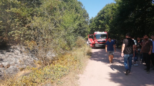 Beykoz Cumhuriyetköy’de orman yangını