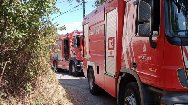 Beykoz’da 2 günde 2. ormanlık yangını