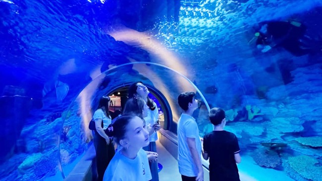 Beykozlu Gençler Bu Yaz Çok Şanslı