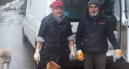 Bilgehan Murat Miniç’ten Sokak Hayvanları İçin Doğal Yaşam Alanı