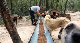 Beykoz Hayvan Rehabilitasyon Merkezi’ne Yönelik İftiralarla İlgili Açıklama