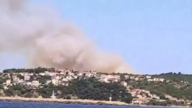 Beykoz Anadolufeneri’nde Orman Yangını
